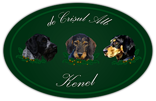 de Crisul Alb Logo
